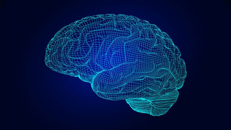 Surrogate Brain Research Project